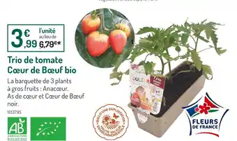 Botanic Trio de tomate cœur de bœuf bio offre