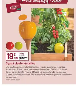 Botanic Oyas à planter émaillée offre