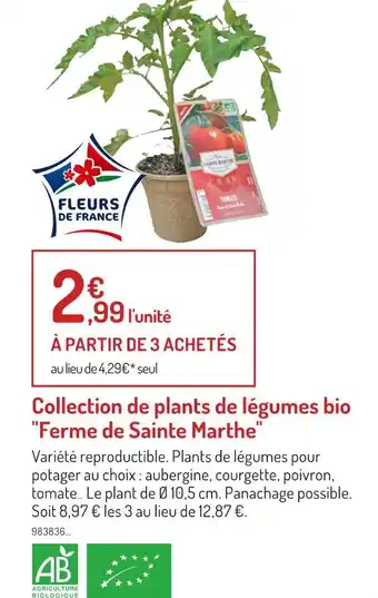 Botanic Ferme de Sainte Marthe Collection de plants de légumes bio offre