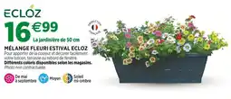 Jardineries du terroir ECLOZ Mélange fleuri estival ECLOZ offre