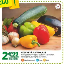 Jardineries du terroir Légumes à ratatouille offre