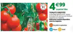 Jardineries du terroir Tomate greffée offre