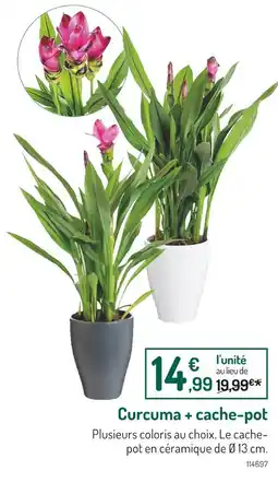 Botanic Curcuma + cache-pot offre