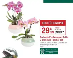Botanic Orchidée phalaenopsis tablo 2 branches + cache-pot offre