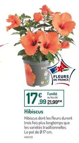 Botanic Hibiscus offre