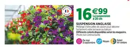 Jardineries du terroir Suspension Anglaise offre