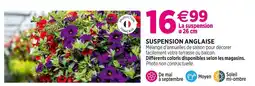 Delbard Suspension anglaise offre