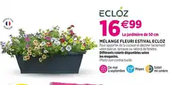 Delbard ECLOZ MÉLANGE FLEURI ESTIVAL offre
