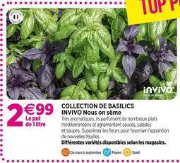 Delbard INVIVO Nous on sème Collection de basilics INVIVO Nous on sème offre