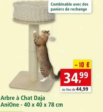 Maxi Zoo Anione arbre à chat daja offre