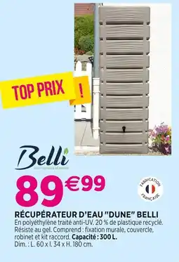Delbard BELLI RÉCUPÉRATEUR D’EAU DUNE offre