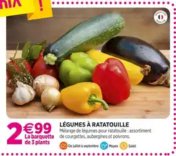 Delbard Légumes à Ratatouille offre