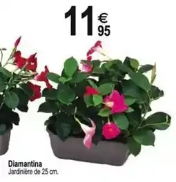Tridôme Diamantina offre