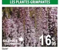 Tridôme Glycine offre