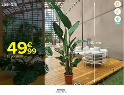 Carrefour Market Sfreilita offre