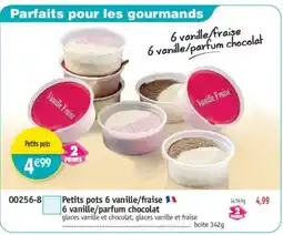 Maximo Petits pots 6 vanille/fraise 6 vanille/parfum chocolat offre