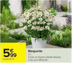 Carrefour Market Marguerite offre
