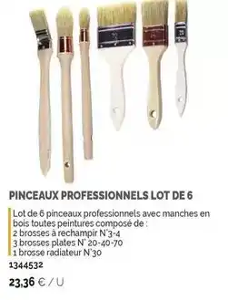 Samse Pinceaux professionnels lot de 6 offre