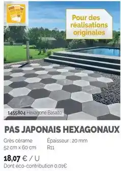Samse Pas japonais hexagonaux offre