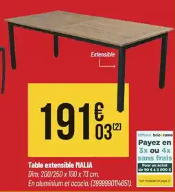Bricorama Table extensible malia offre
