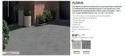 Samse Florus offre
