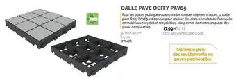 Samse Pave ocity pav65 offre