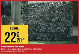 Bricorama Treillis extensible avec feuilles offre