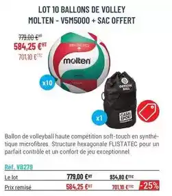 Casal Sport Molten - lot 10 ballons de volley offre