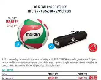 Casal Sport Molten - lot 5 ballons de volley - v5m4000 + sac offert offre