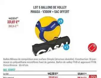 Casal Sport Mikasa - lot 5 ballons de -v300w + sac offert offre