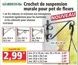 Norma Crochet de suspension murale pour pot de fleurs offre