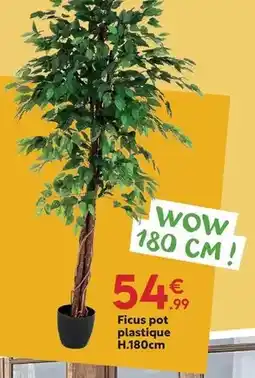 Maxi Bazar Ficus pot plastique h.180cm offre
