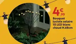 Maxi Bazar Bouquet luciole solaire 10 led blanc chaud h.68cm offre