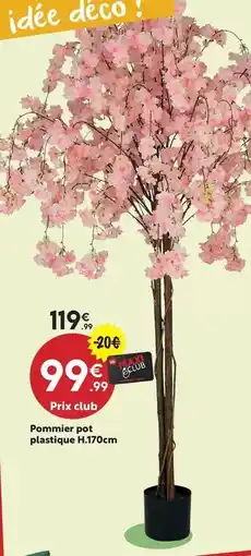 Maxi Bazar Pommeie pot plastique h170cm offre