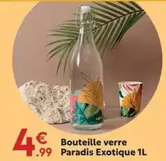 Maxi Bazar Bouteille verre paradis exotique 1l offre
