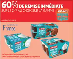 Auchan Direct Andros gourmand vegetal offre