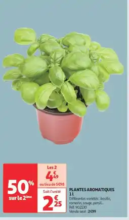Auchan Direct Plantes aromatiques offre