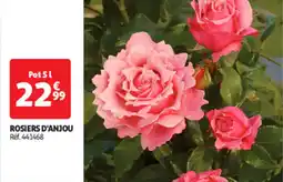 Auchan Direct Rosiers d'anjou offre