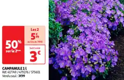 Auchan Direct Campanule offre