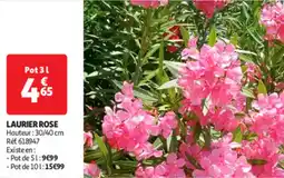 Auchan Direct Laurier rose offre