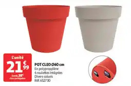 Auchan Direct Pot cleo offre