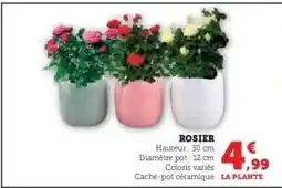 U Express Rosier offre