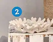 TEDi Bol décoratif offre