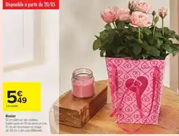 Carrefour Rosier offre