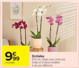 Carrefour Orchidée offre
