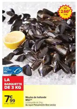 Carrefour Market Moules De Hollande offre