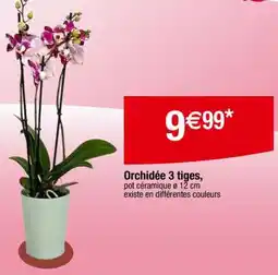 Carrefour Orchidée 3 tiges offre