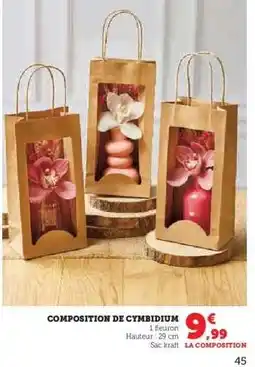 Hyper U COMPOSITION DE CYMBIDIUM offre