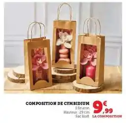 Super U COMPOSITION DE CYMBIDIUM offre
