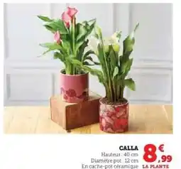 Super U Calla offre